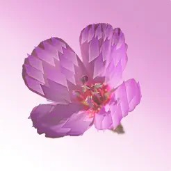 CrossPrism Nature Id Logo