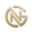 NITG Logo