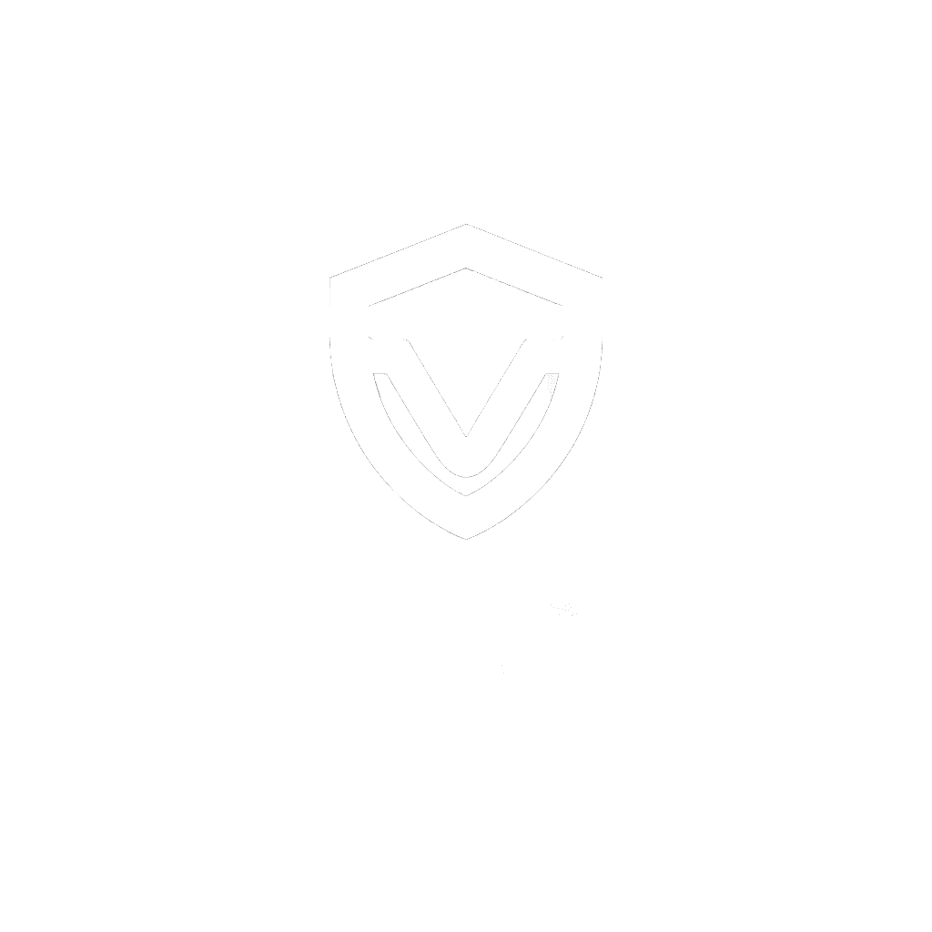 VibeSec Logo