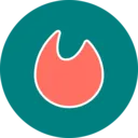 Virallex - Chrome Extension Logo