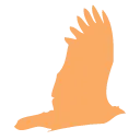 Zero-Day Phishing Detector - Chrome Extension Logo