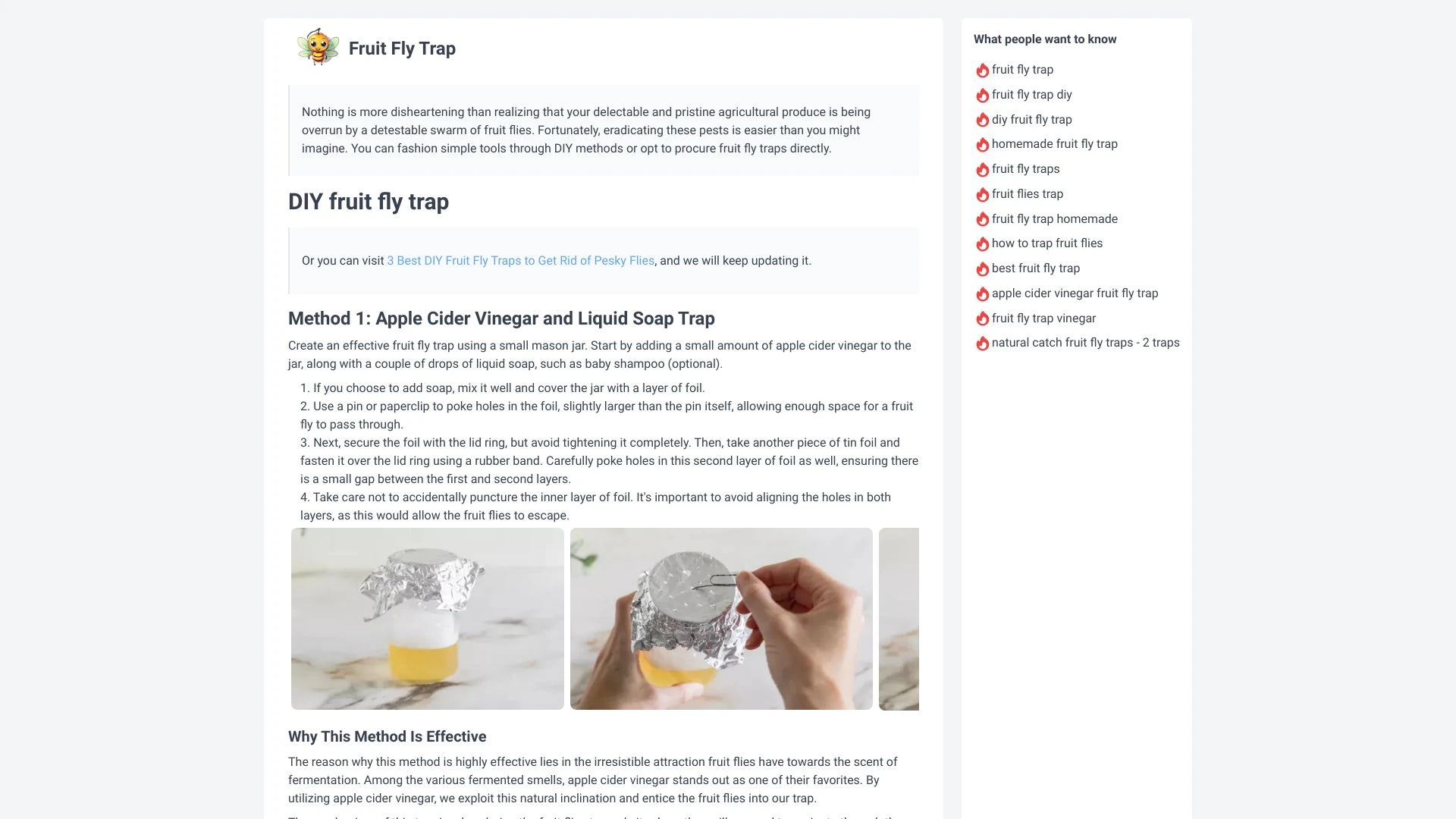 AI based Drosophila Trapping Solution - AI Tool Ocean