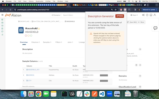 Alation ChatGPT Description Generator Extension - Chrome Extension - AI Tool Ocean