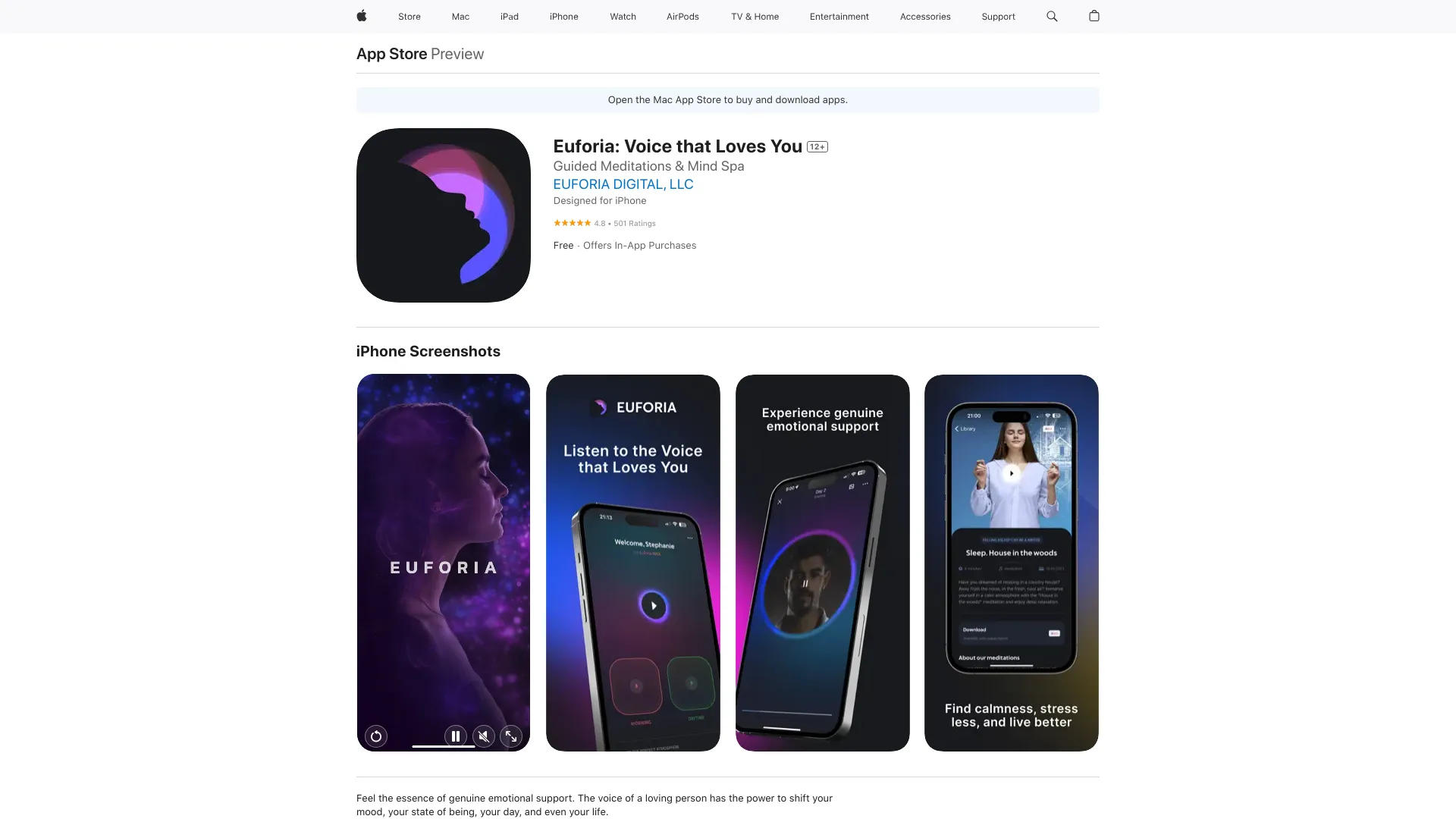 Euforia Project - AI Tool Ocean