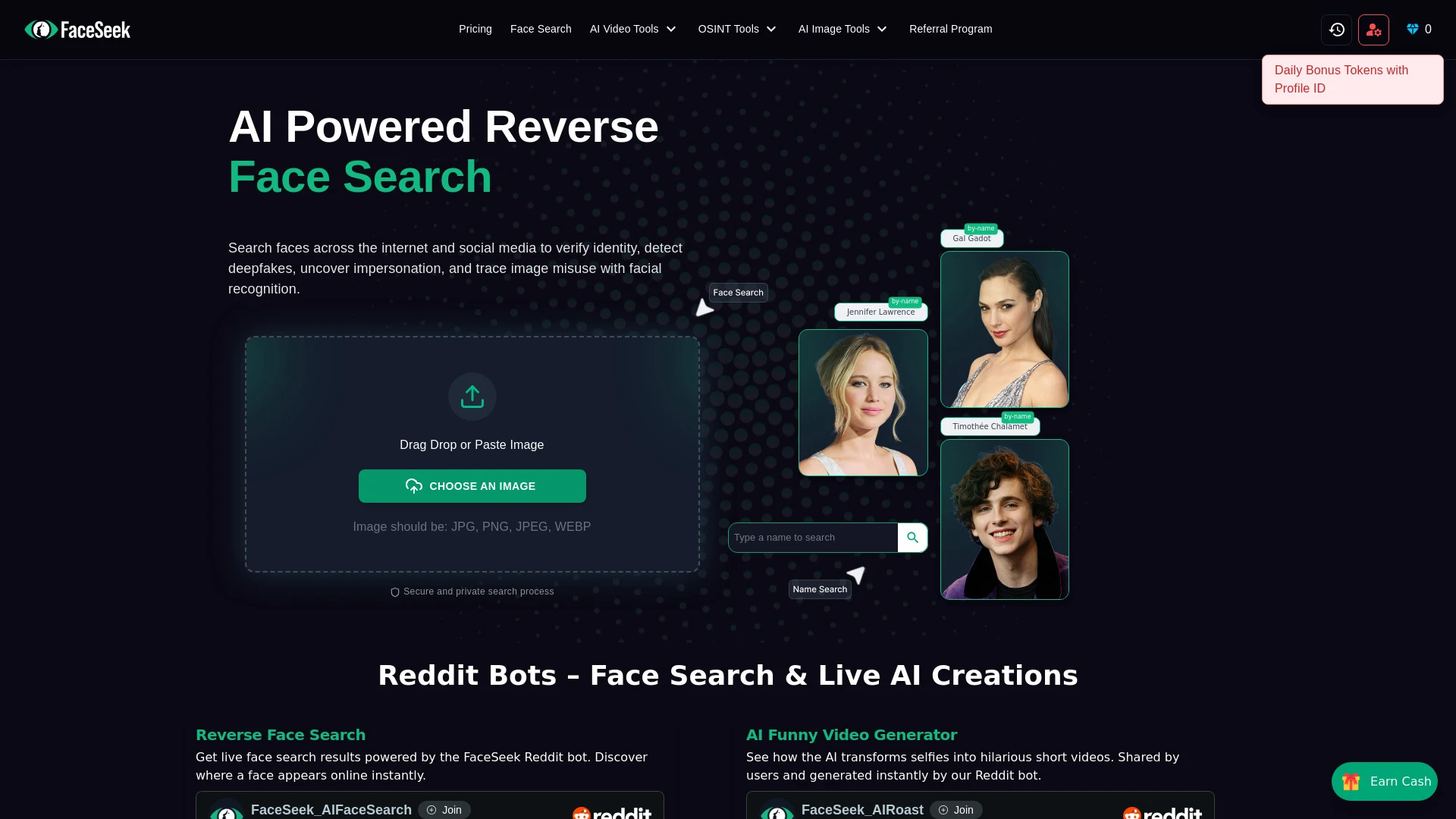 FaceSeek - AI Face Search - AI Tool Ocean