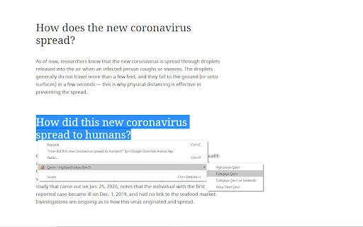 Instant Translator - Chrome Extension - AI Tool Ocean