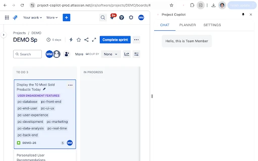 Project Copilot Team Member - Chrome Extension - AI Tool Ocean