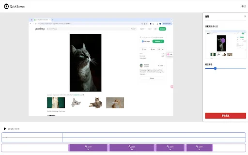 Quick Screen - Chrome Extension - AI Tool Ocean