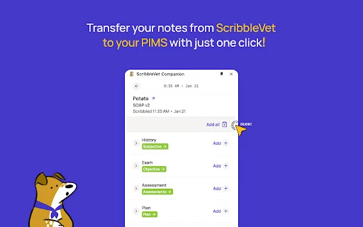 ScribbleVet Chrome Companion - Chrome Extension - AI Tool Ocean