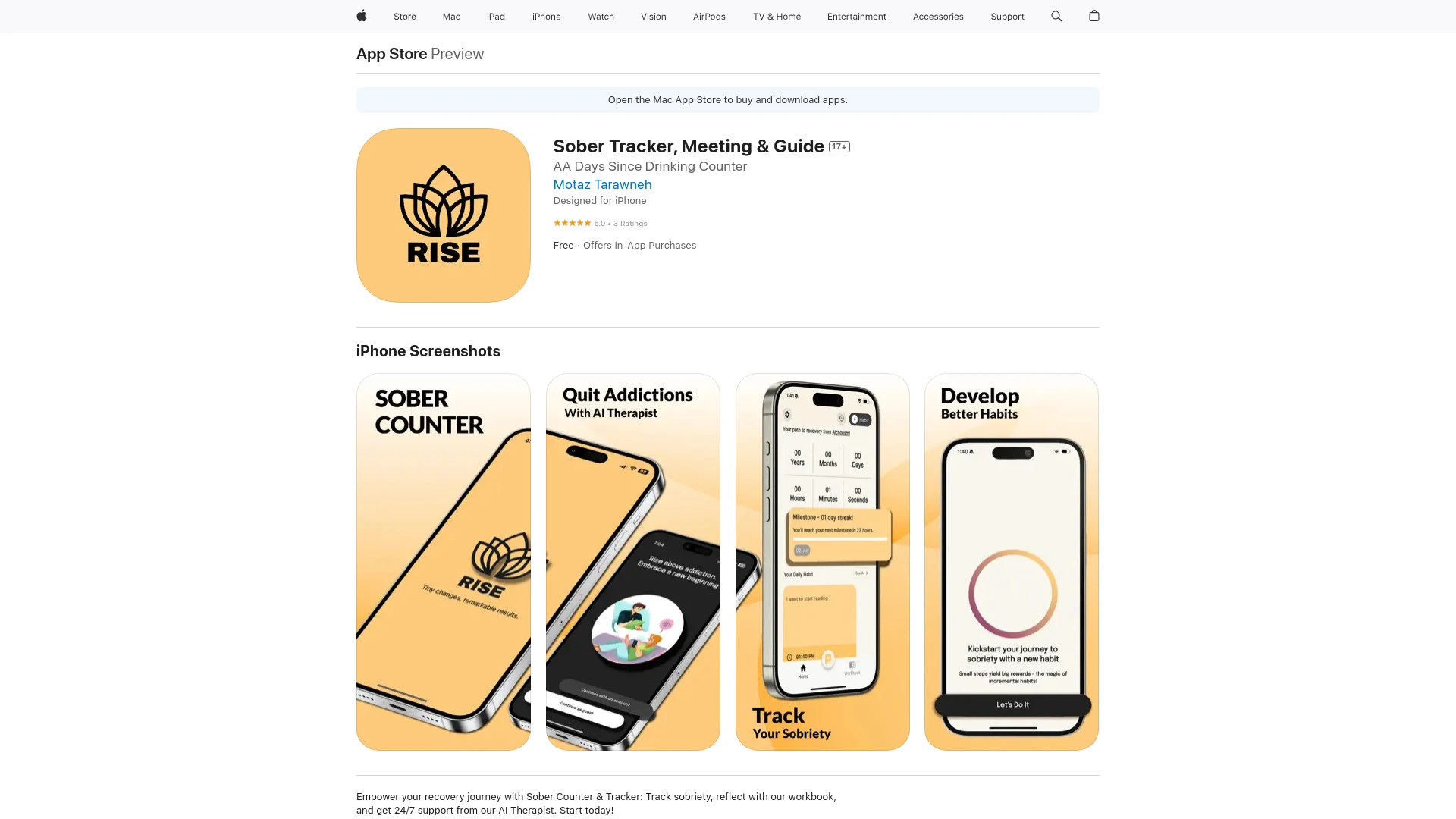 Sober Counter & Therapy - Rise - AI Tool Ocean