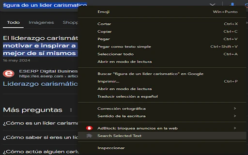 Text Selection Extension - Chrome Extension - AI Tool Ocean