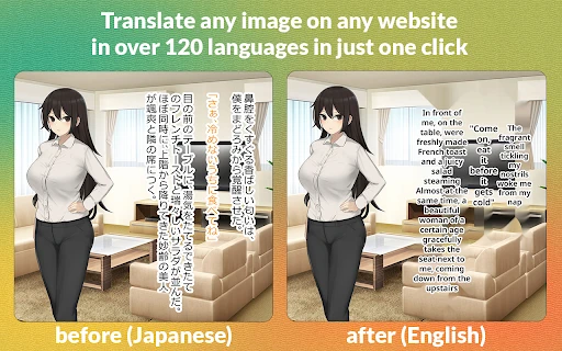 Torii Image Translator - Chrome Extension - AI Tool Ocean