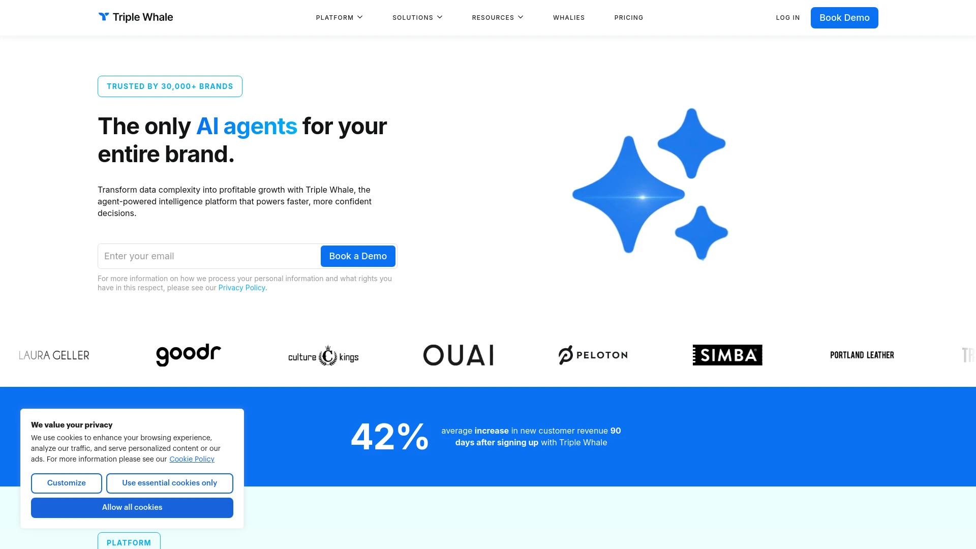 Triple Whale - AI Tool Ocean