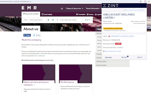 Zint - Chrome Extension - AI Tool Ocean